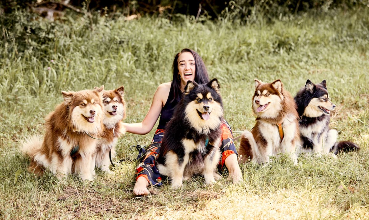 Zoe sitting with her Finnish Lapphunds in a field